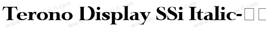 Terono Display SSi Italic字体转换